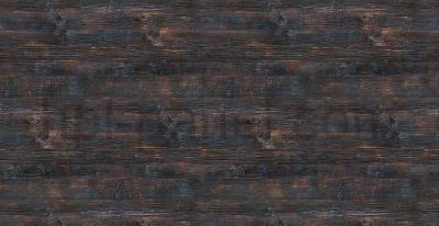 8311 Albero Nero
