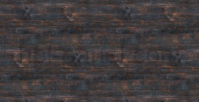 8311 Albero Nero