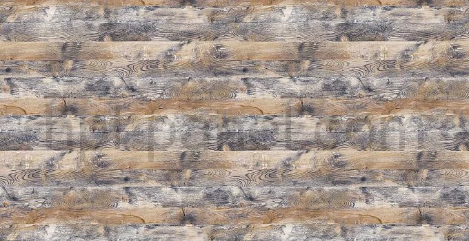 8302 Tinto Oak