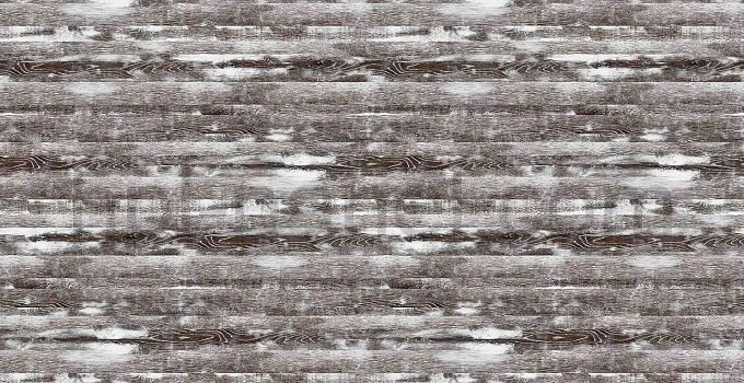 8307 Alaska Oak