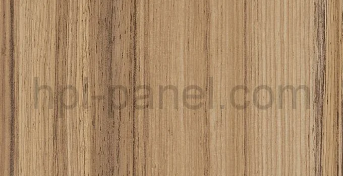 3255 Coco Bolo