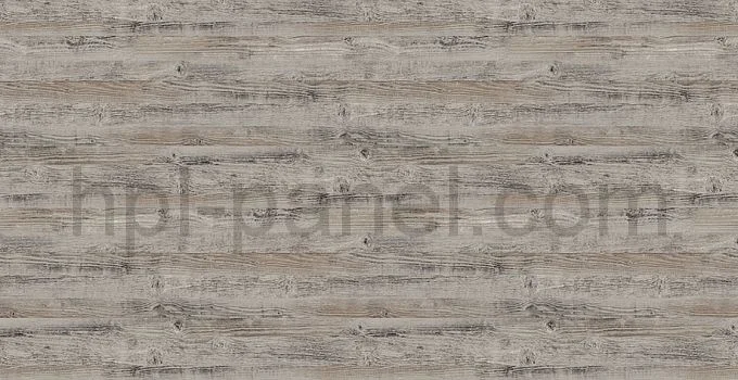 8120 Pino multicolore