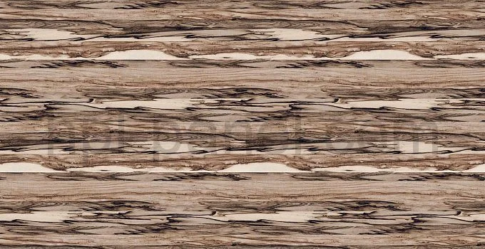 8305 Marblewood