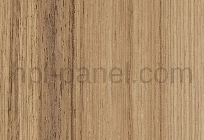 3255 Coco Bolo