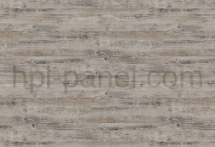 8120 Pino multicolore