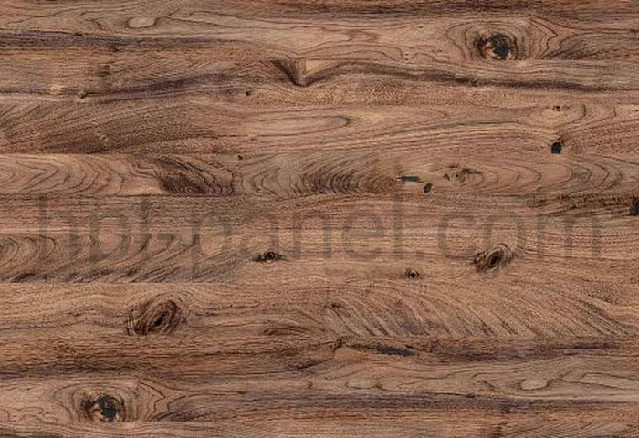 8304 Noce Americano