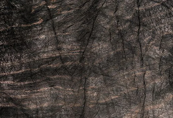 8113 Black Quartzite