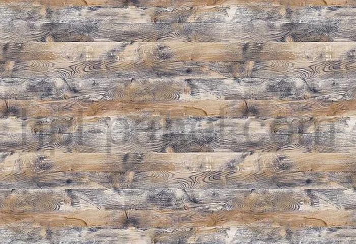 8302 Tinto Oak