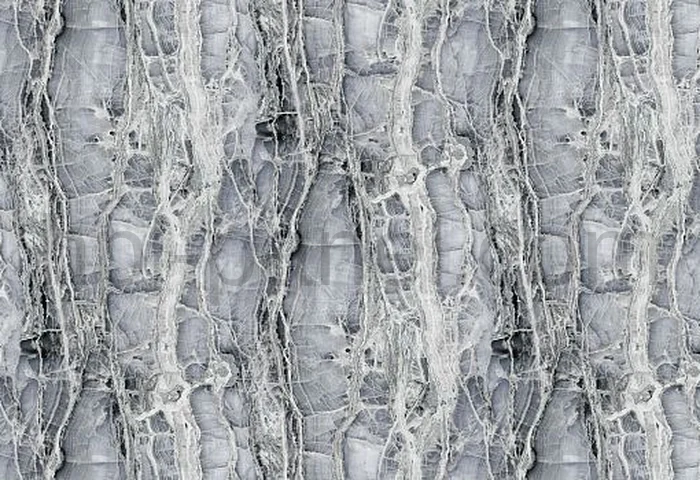 8502 Ocean Vein